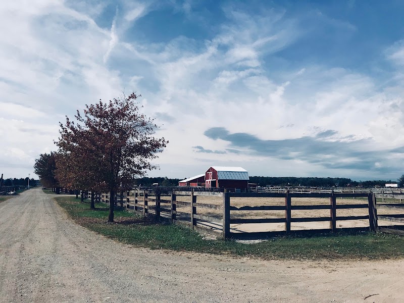 Dettore Farm — Petting Zoos in Cleveland