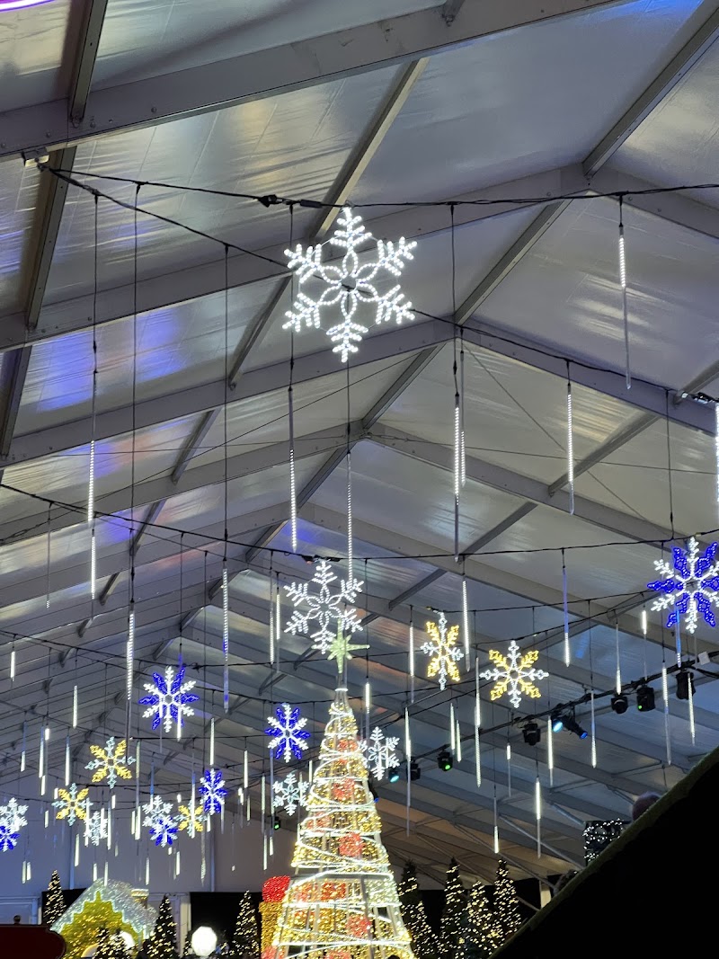 Snow Carnival
