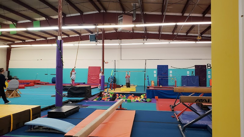 Gym Skills Cincinnati