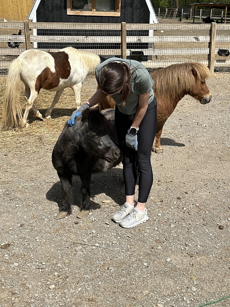 Piccolo farms animal sanctuary extension