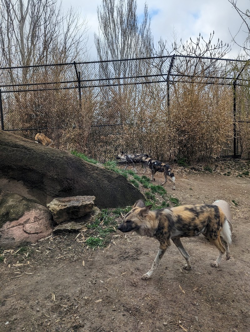 Purina Painted Dog Preserve