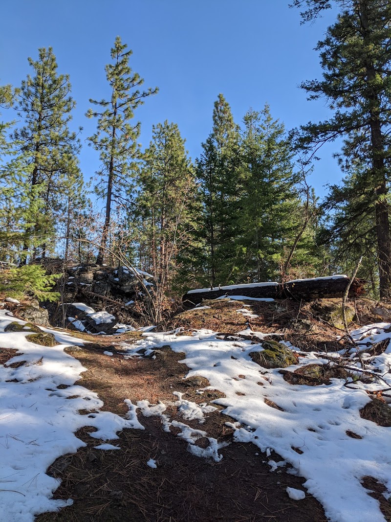 Camp Caro