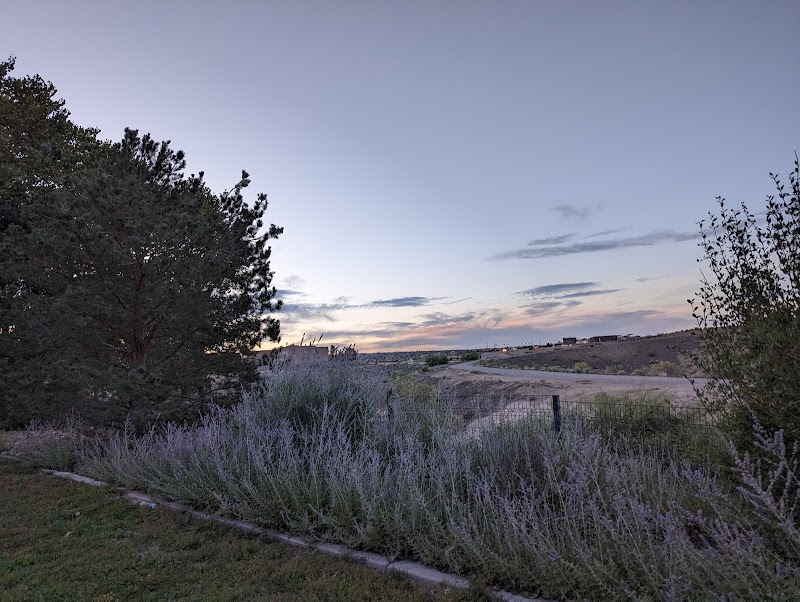 Black Arroyo Park — Hiking with Kids in Albuquerque