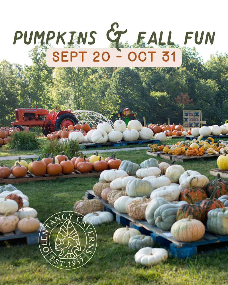 Olentangy Caverns | Rock & Gem Gift Shop