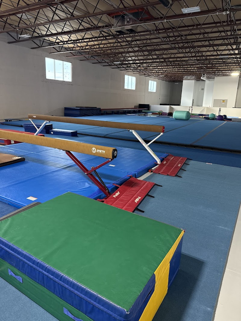 World Class Gymnastics