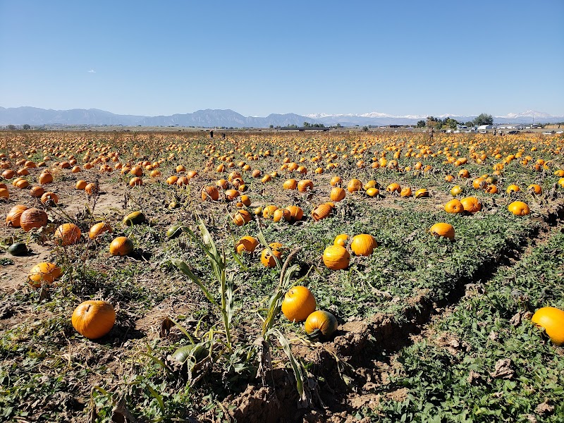 Rock Creek Farm