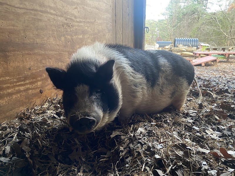 Winterpast Farm — Petting Zoos in Durham