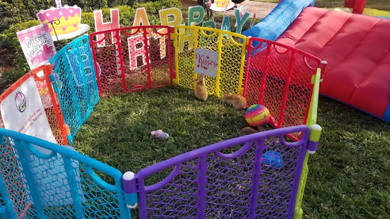 Bella's Little Farm, Mobile Petting Zoo