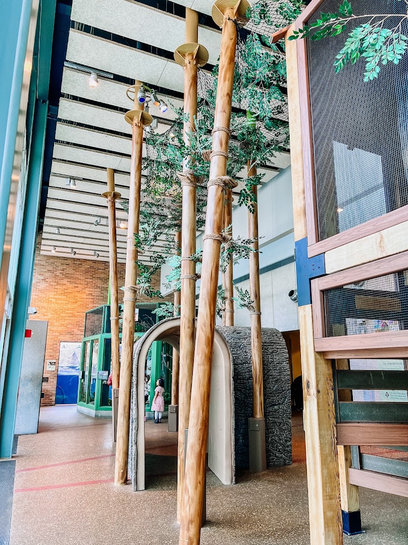 Pritzker Family Children's Zoo — New Year's Eve Kids Activities in Chicago