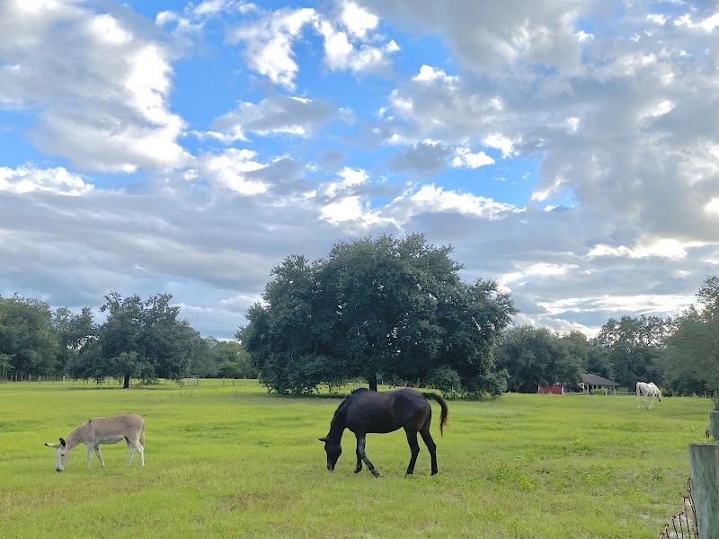 All Children's Farm