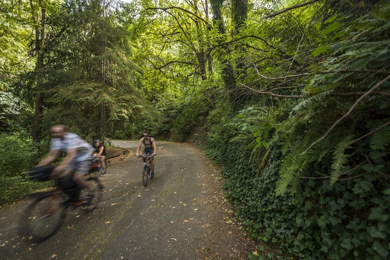 Interlaken Park — Hiking with Kids in Seattle