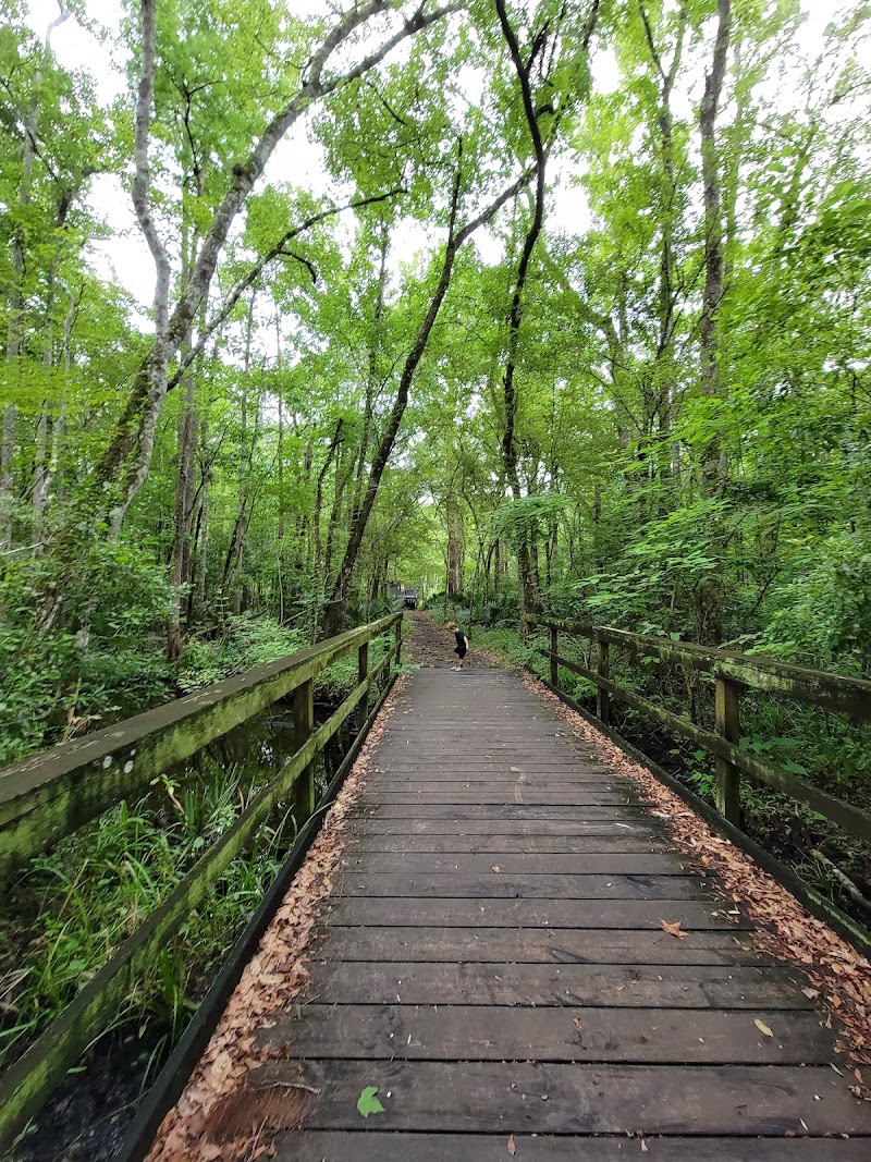 Julington Durbin Creek Nature Preserve