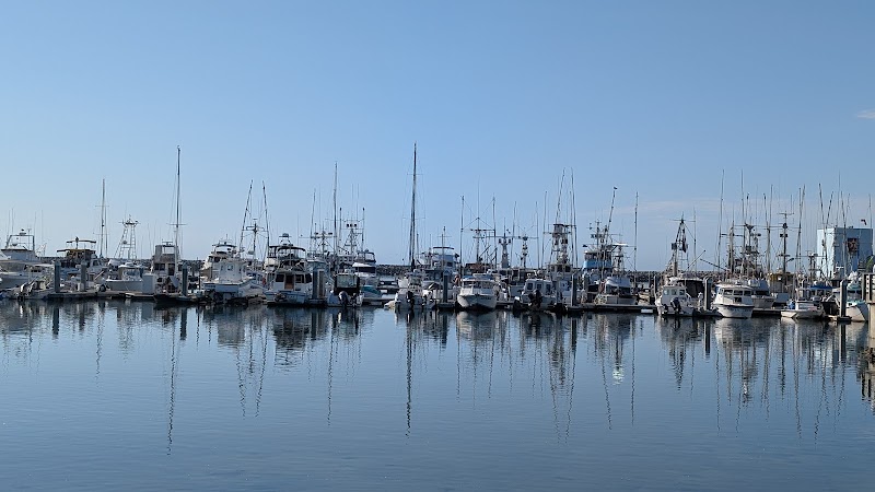 Half Moon Bay Kayak Co.