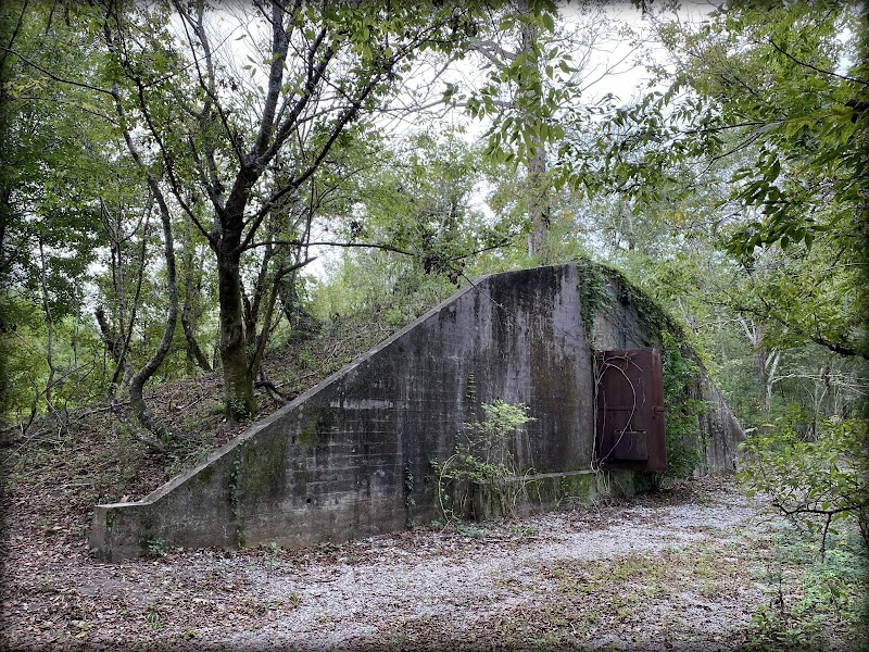 Woodlands Conservancy’s Woodlands Trail
