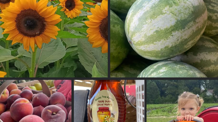Hickory Ridge Farm — Fall Festivals in Virginia Beach