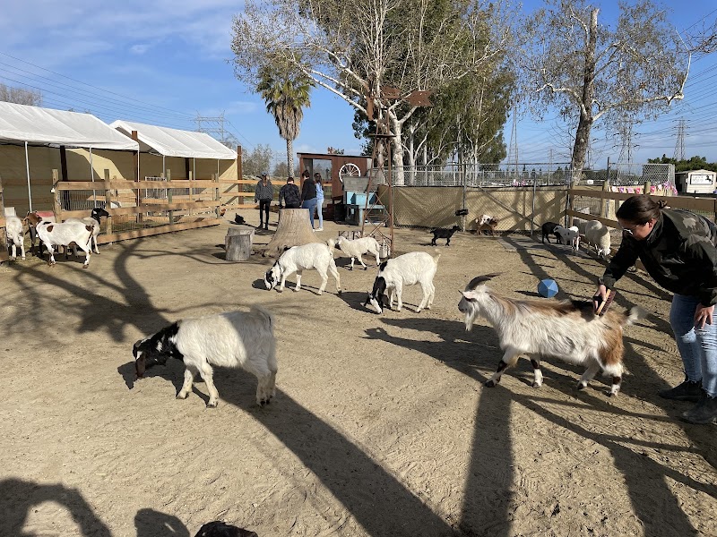Barnyard Buddies