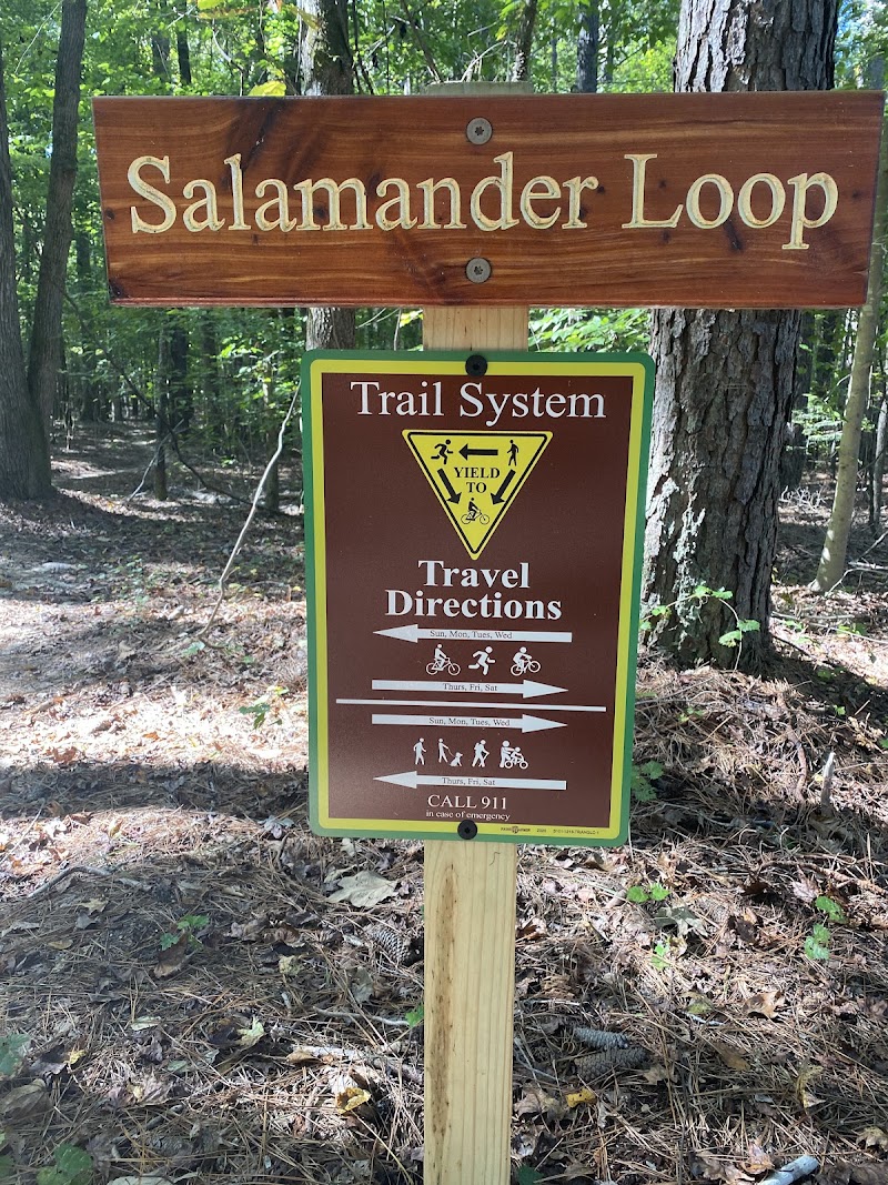 Bailey and Sarah Williamson Preserve — Hiking with Kids in Raleigh