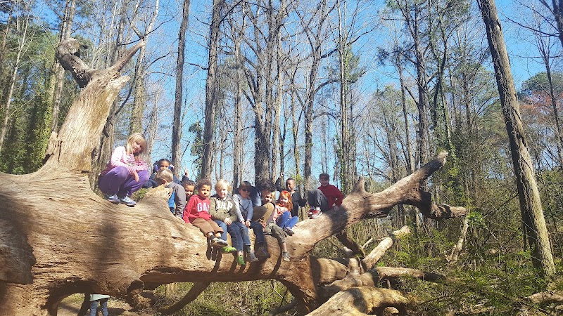 Camp Scene Environmental Adventures