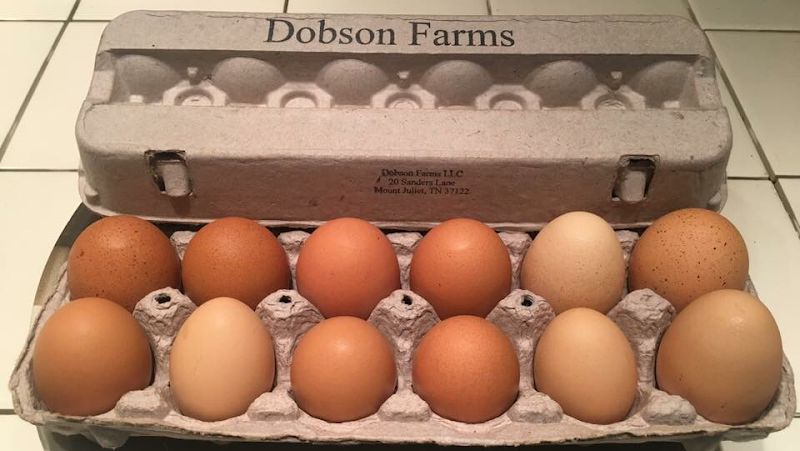 Dobson Farms LLC