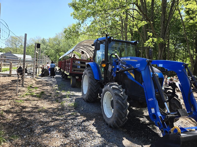 West Maple Farm — Petting Zoos in New York