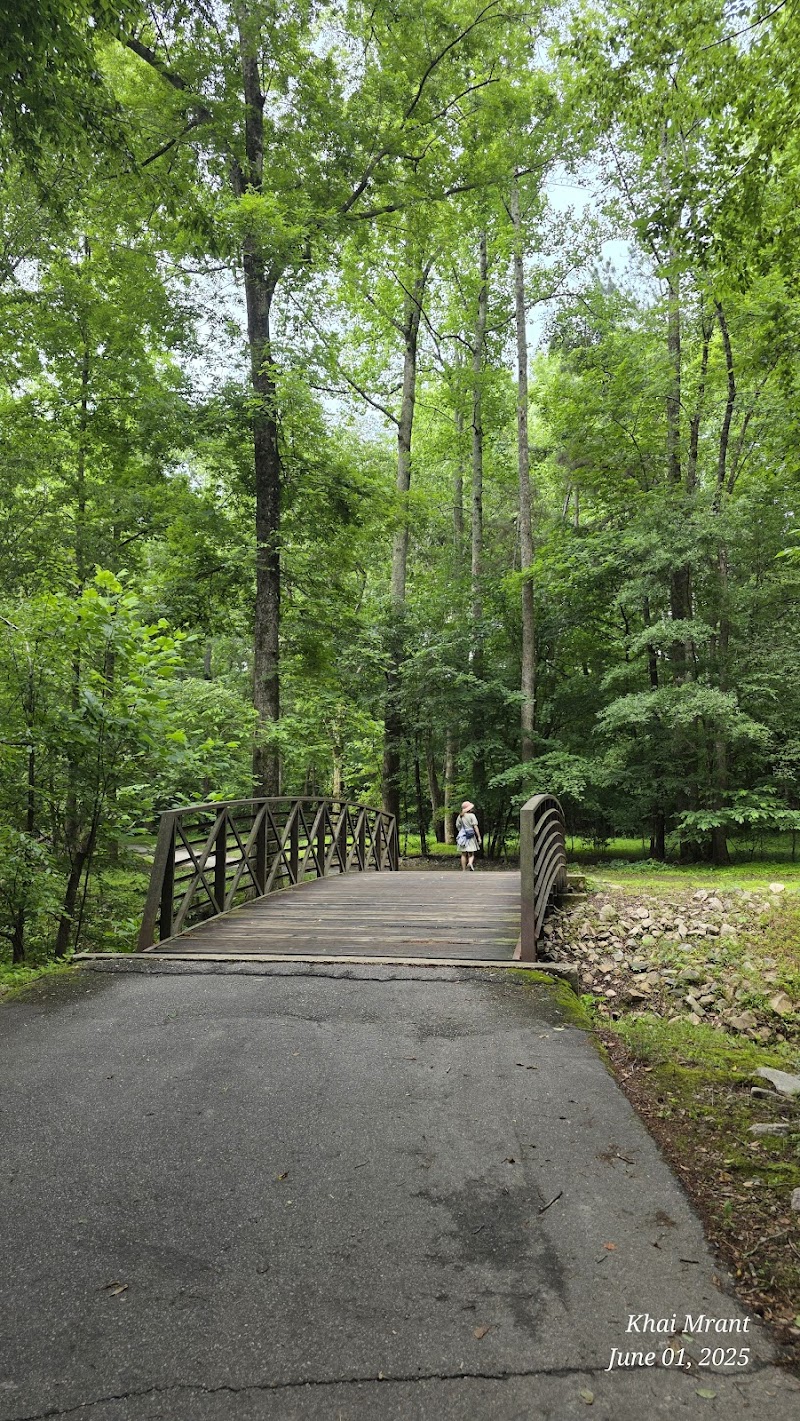 Mine Creek Trail, Sawmill Rd Access, Greenway — Hiking with Kids in Raleigh