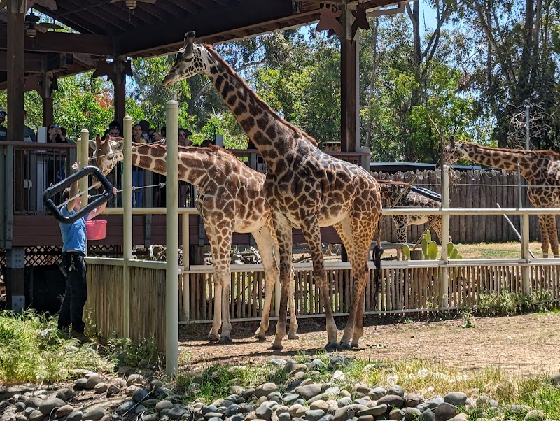 Sacramento Zoological Society