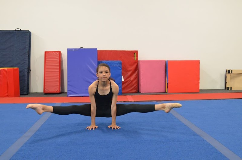 Palmers Elite Gymnastics Academy — Indoor Gymnastics in Sacramento