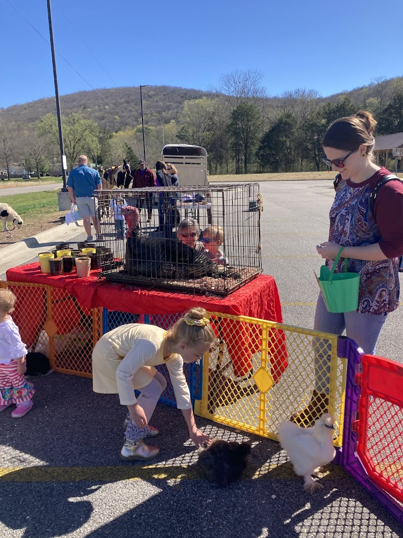 Animals R Us Petting Zoo