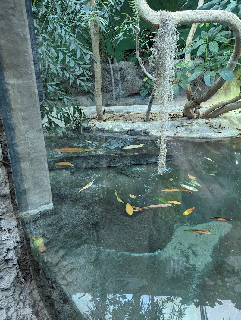 Schlessman Family Foundation Tropical Discovery — New Year's Eve Kids Activities in Denver