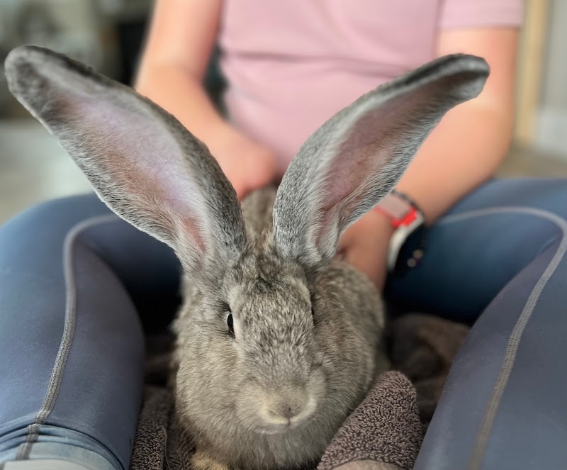 C&S Family Farm — Petting Zoos in Salt Lake City