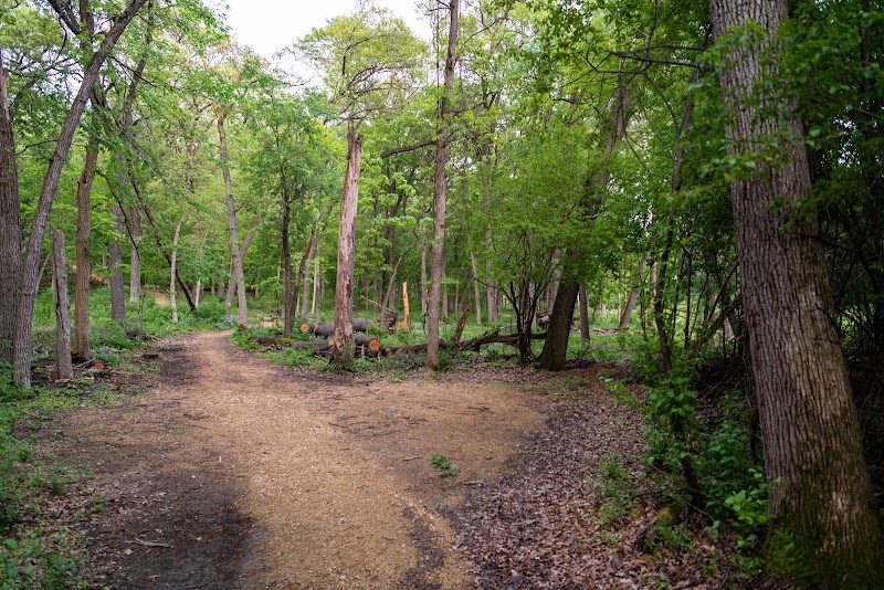 Knollwood Conservation Park — Hiking with Kids in Madison