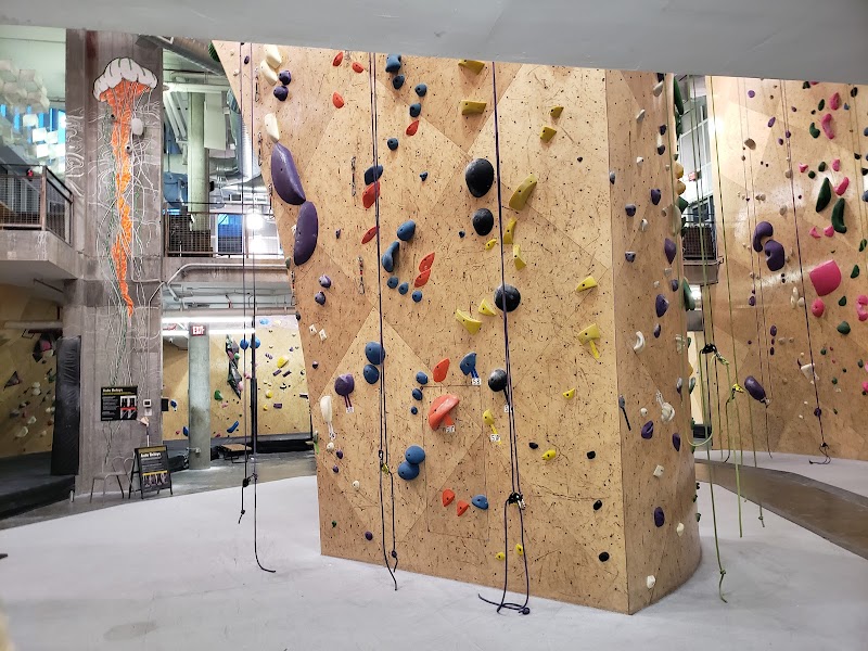 Brooklyn Boulders Queensbridge