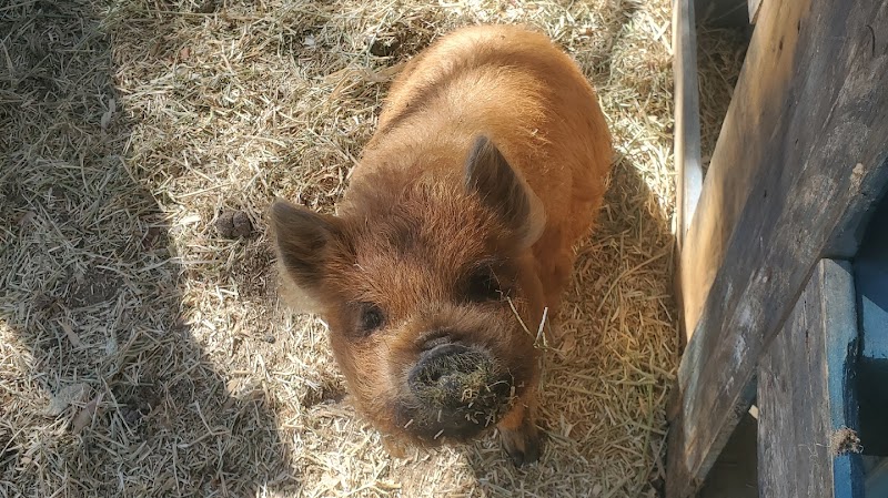 Barber Family Farm