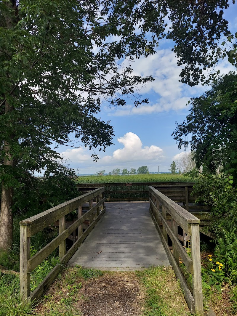 Times Beach Nature Preserve — Hiking with Kids in Buffalo