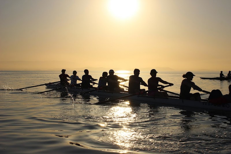 Bair Island Aquatic Center - Rowing and Paddling Club — Kayaking for Kids in Sunnyvale