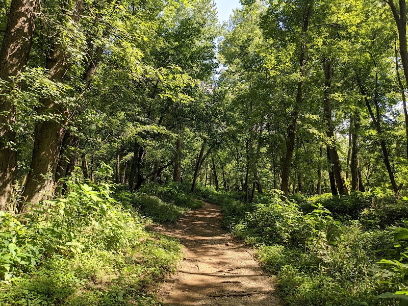 Boone Bottoms Trail — Hiking with Kids in Louisville