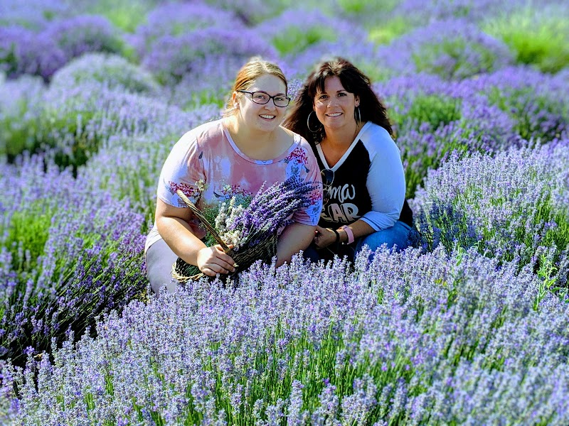 The Lavender Merchant — Fall Festivals in Boise