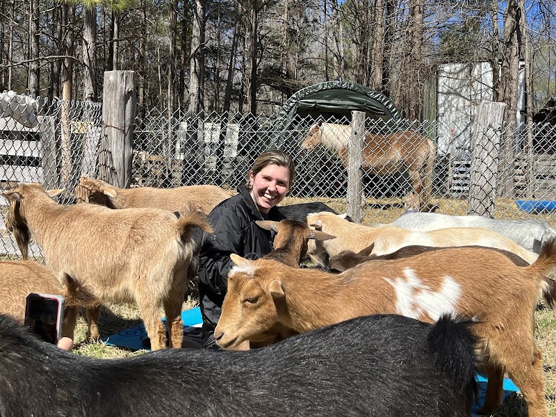 Avery Family Farm — Fall Festivals in Durham