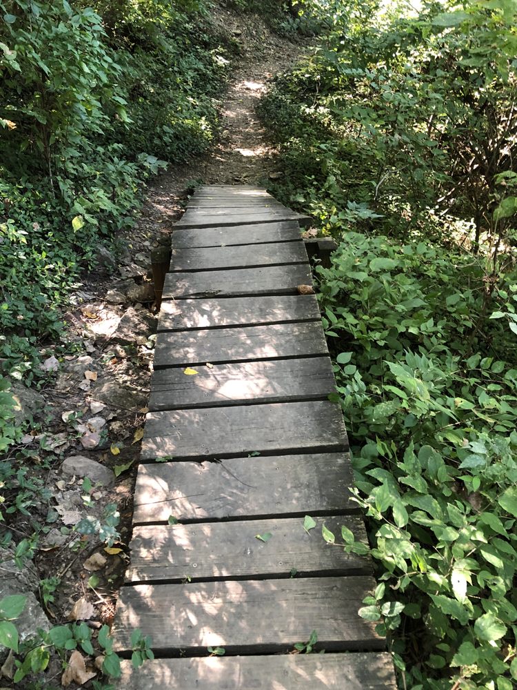 Rozarks Nature Trail — Hiking with Kids in Kansas City