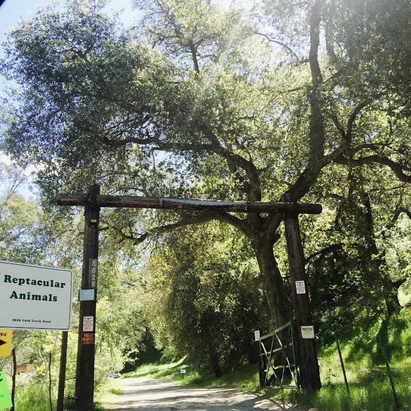 Reptacular Ranch