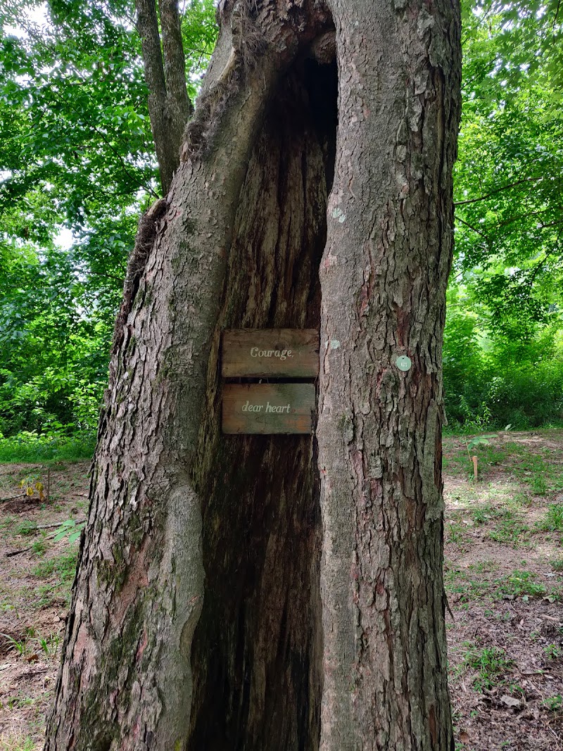 Zonolite Park — Hiking with Kids in Atlanta