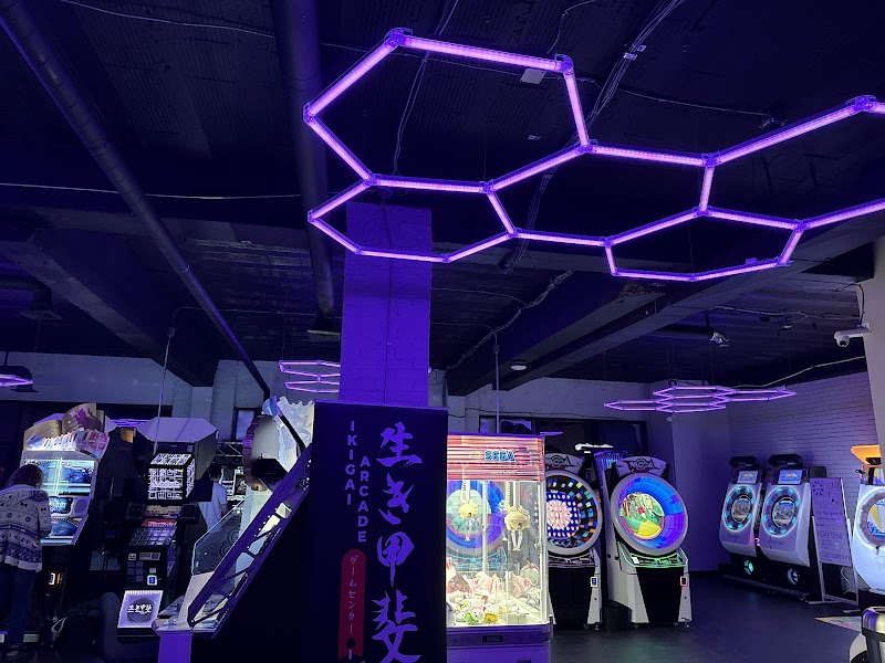 Ikigai Arcade