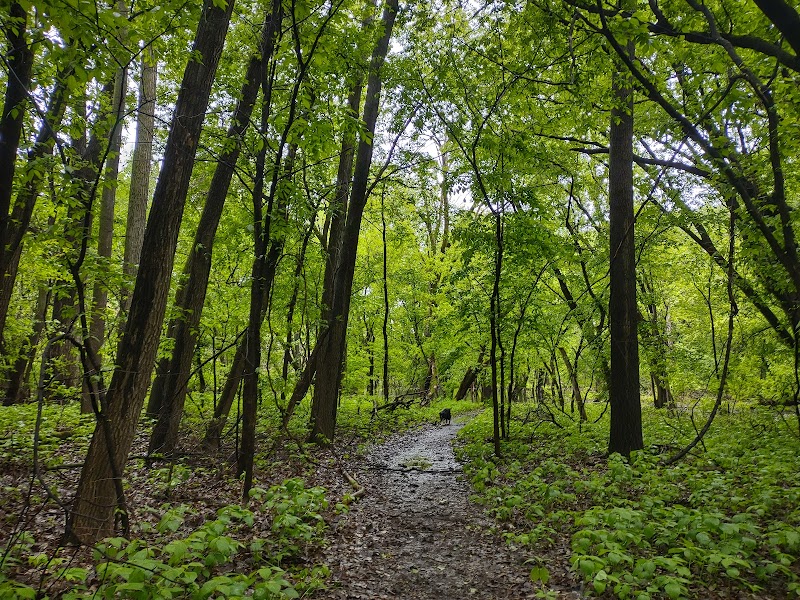 Crosby Farm Regional Park — Hiking with Kids in Minneapolis