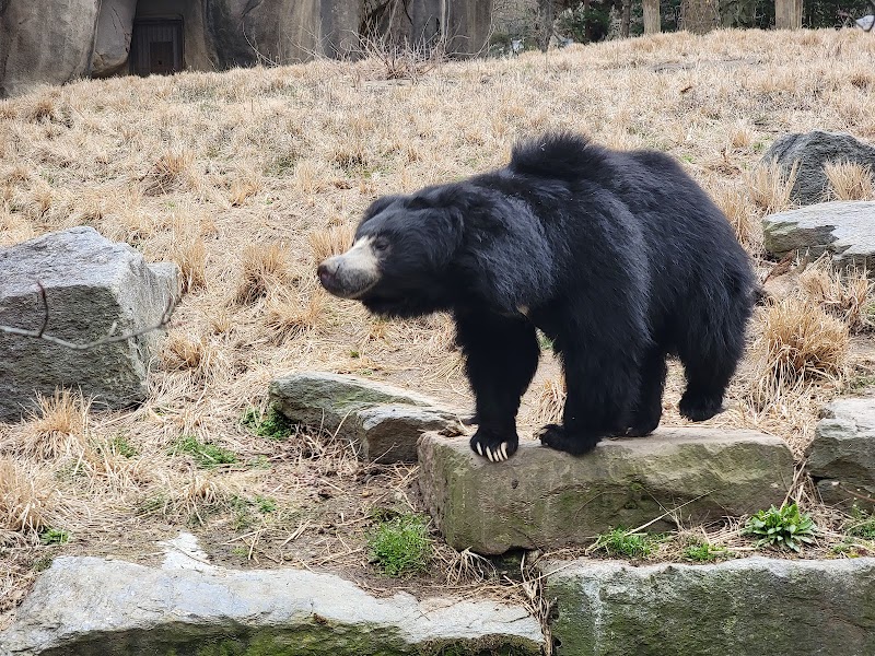 Bear Country — Zoos for Kids in Philadelphia