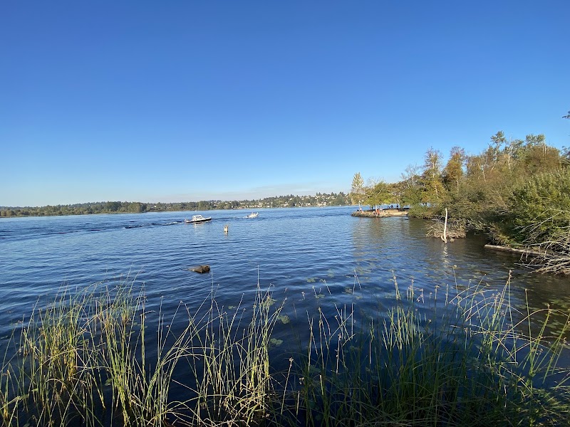 Foster Point Trail — Hiking with Kids in Seattle