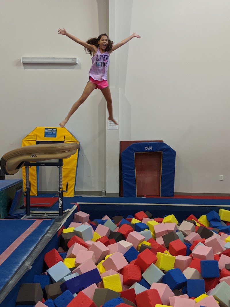 Love Gymnastics
