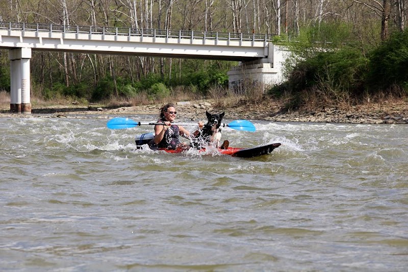 Tippecanoe and Kayaks Too