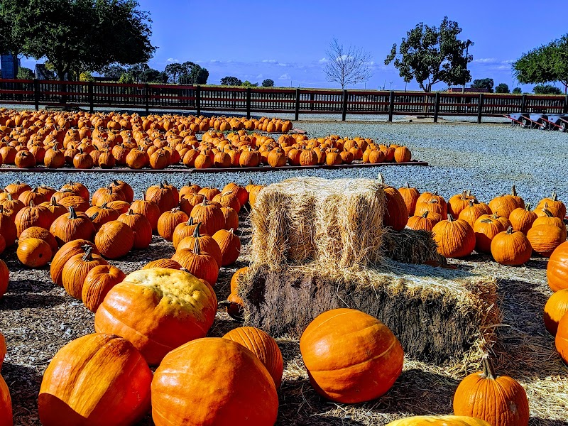 Dell'Osso Family Farm