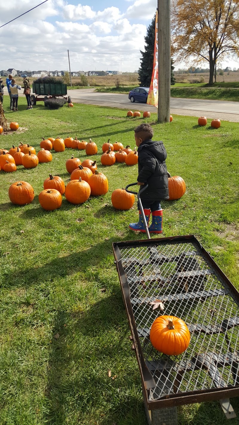 Garden Prairie Farm — Petting Zoos in Madison