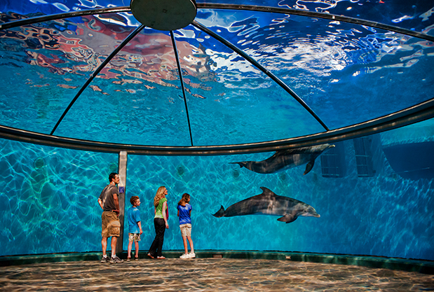 Indianapolis Zoo — New Year's Eve Kids Activities in Indianapolis